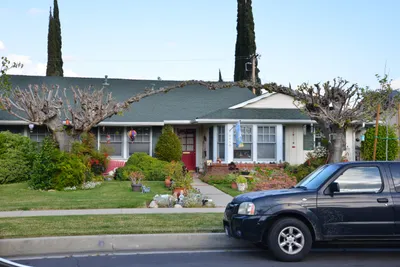 DSC_7220 (Large).JPG